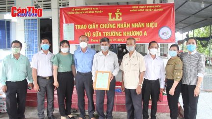 Trao Giấy chứng nhận nhãn hiệu vú sữa Trường Khương A