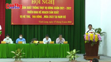 Triển khai sản xuất vụ hè thu, thu đông, vụ mùa năm 2022