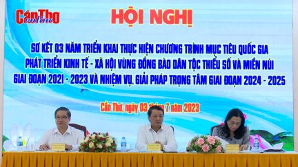 Phát triển kinh tế - xã hội vùng đồng bào dân tộc thiểu số và miền núi