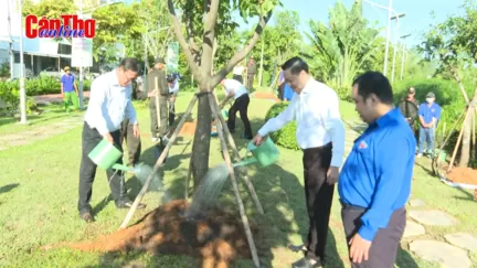 Nhân dân Cần Thơ cùng hành động vì thành phố xanh - sạch - đẹp - an toàn