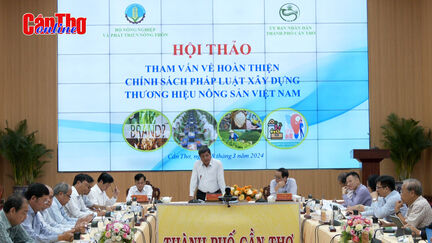 Xây dựng thương hiệu để nâng cao giá trị nông sản Việt Nam