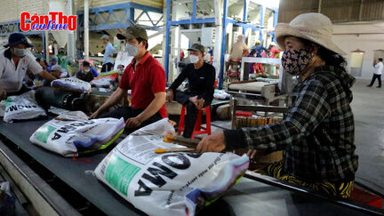 Xuất khẩu gạo tăng mạnh cả về lượng và giá trị