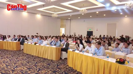 Doanh nghiệp ĐBSCL thích ứng trước thách thức thương mại toàn cầu