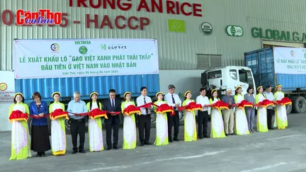 Xuất khẩu lô “Gạo Việt xanh phát thải thấp” đầu tiên sang Nhật Bản