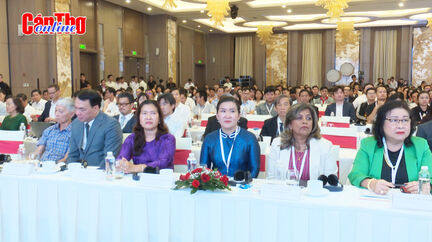 Hội thảo quốc tế về đột quỵ tại TP Cần Thơ