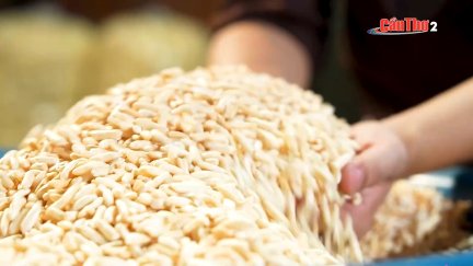 Đi và trải nghiệm - Kỳ 4