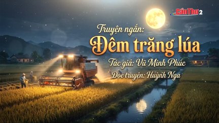 Sao Khuê lấp lánh | Đêm trăng lúa