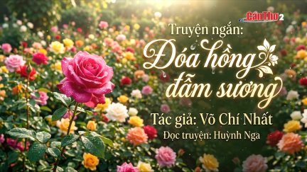 Sao Khuê lấp lánh | Đóa hồng đẫm sương