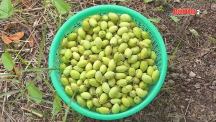 Chái bếp quê nhà - Kỳ 7