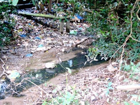 Bao giờ dân Xóm Cối có nước sạch ?