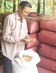 Ông Năm Châu nặng tình với hạt lúa