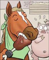 Ngựa thích ăn thịt