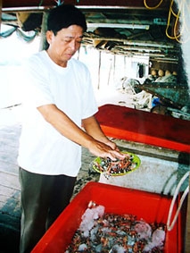 Khởi nghiệp từ đáy hàng khơi
