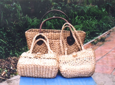 Ánh Nguyệt, bền bỉ vươn tới ước mơ...