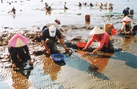 Hợp tác để thoát nghèo