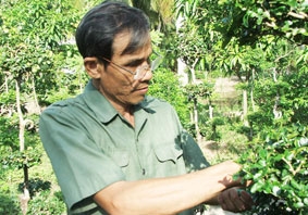Sống là để cống hiến