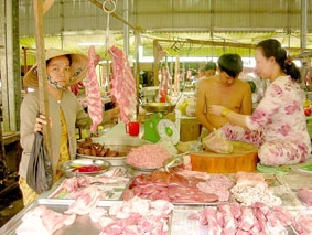 Giá heo hơi chỉ giảm tạm thời