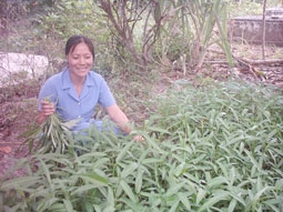 Niềm tin trên đất lành...