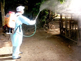 Người chăn nuôi nên hợp tác tốt với ngành thú y