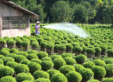 Nơi mùa xuân đến sớm
