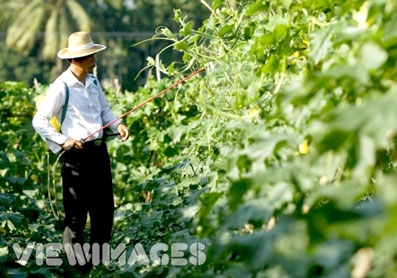 Người trả đất về với thiên nhiên