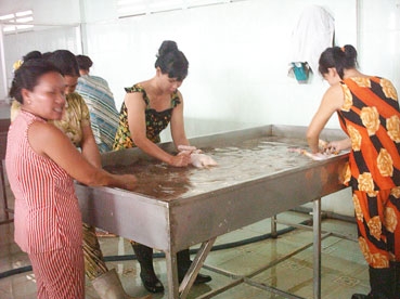 Hiệu quả từ nguồn vốn vay ưu đãi