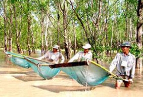 Tận diệt "của trời cho"