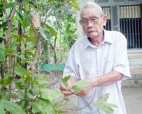 Cho con cái chữ vào đời