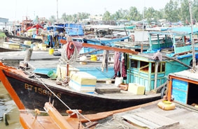 Ngư dân lao đao với giá xăng dầu