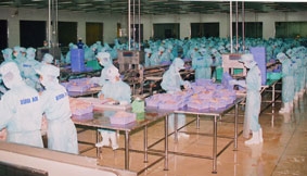 Quyết định tối hậu là cuộc sống