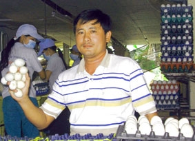 Thành công "thời cúm gia cầm"