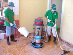 Sôi động dịch vụ dọn nhà đón Tết