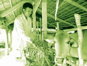 Không nên chạy theo phong trào!