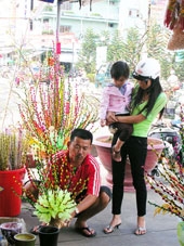 Hoa lụa, hoa khô phục vụ Tết Nguyên đán tiêu thụ mạnh