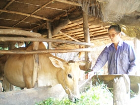 Không nên chạy theo phong trào!