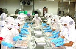 Mỗi tháng xuất khẩu 500 tấn sản phẩm cá tra sang thị trường Nga