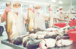 Vượt vũ môn