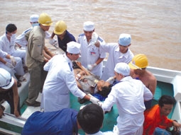 Những tấm lòng vàng