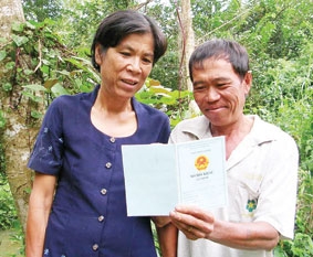 Ấm áp tình Xuân