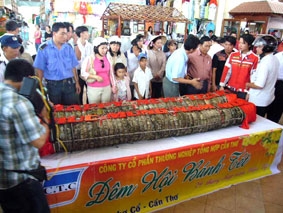 Tưng bừng đêm hội bánh tét Tết Mậu Tý 2008