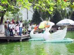 Cần Thơ tưng bừng xuân mới