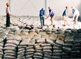 Từ năm 2009 sẽ đáp ứng đủ nhu cầu sử dụng xi măng trong nước