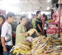 Người lao động, thu nhập thấp gặp khó