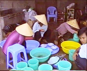 Phập phồng chất lượng tôm sú giống