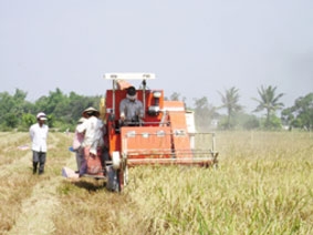 Khi nông dân giàu lên...