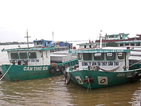 Doanh nghiệp ứng phó ra sao?