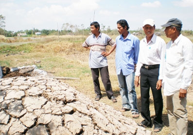 Hướng mở cho hàng hóa nông sản sạch