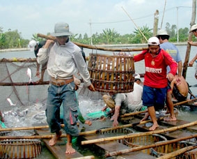 Đừng nóng vội !