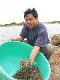 Vì sao người dân háo hức, chính quyền chưa "bật đèn xanh"?