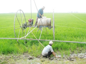 Nhờ "liều" mà thành công